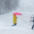 Na udaru snažnog ciklona: Zavejani su FOTO/VIDEO