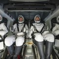 Astronauti "zaglavljeni" u svemiru konačno stigli kući: Delfini u vodama Floride im priredili svečani doček