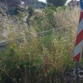 Dok se u savetu MZ Stanova hvale rezultatima, situacija na terenu je mnogo drugačija, kažu građani