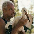 "Priča o Silijanu" otvara Martovski festival: Neobična veza čoveka i povređene rode u novom filmu Tamare Kotevske
