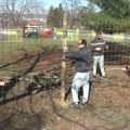 U Eko parku Ilina voda urađena nova ograda za životinje
