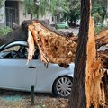 Oluje u Srbiji sve češća pojava: Kako da najlakše naplatite štetu?