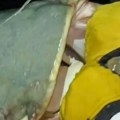 "Srce je htelo da iskoči iz grudi od sreće": Srbin ulovio čudovište od 65 kilograma u Španiji (snimak)