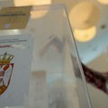 Dijaspora na izborima: Paranoja, strahovi i nada