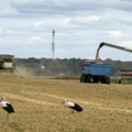 Zelenski: Neprihvatljivo je da se produži zabrana izvoza žitarica kopnom