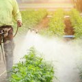 Продаја пестицида у ЕУ опала за десет одсто у 2022.