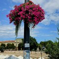 Sunčano i vrelo, temperatura do 37 stepeni