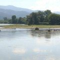 Ekološki ustanak: Ugroženo korito Velike Morave, ministarstvo ne reaguje