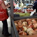 Povoljna sezona za ove poljoprivrednike: Rekordan prinos i do 100 tona po hektaru, šta će biti sa cenom?