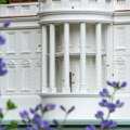 Hiljade pčela preplavile travnjak Bele kuće nakon širenja pčelinjaka Melanije Tramp