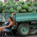 Lubenice idu "k'o lude": Vreli dani povećali potražnju za slatkim osveženjem u Smederevu (foto)