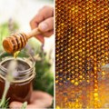 Srpskom medu godinama zatvorena vrata pojedinih marketa, ali je zato put na kinesko tržište otvoren: Evo čemu se nadaju domaći…