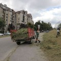 Jkp Šumadija Kragujevac: Pojačano se kose zelene površine