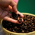 Kako će kriza u Crvenom moru uticati na tržište kafe