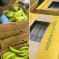 Balkanski kartel na meti kolumbijske policije?! U paketima banana nađeno dve tone kokaina! (video)