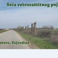 ZELENA PATROLA: Vetrozaštitni pojasevi seku se svuda po Vojvodini (VIDEO)