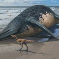 Arheologija: Praistorijski morski reptil dvaput duži od autobusa
