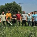 Prva akcija vršačkih gorana: Volonteri orezivali drvored na Središtanskom putu