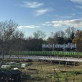 Slavonskim pčelarima 100 novih pčelinjih zajednica nakon pomora izazvanog pesticidima