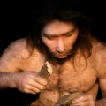 Naučnici otkrili misteriju izumiranja neandertalaca: Analizirani primeri iz evropskih pećina, uključujući i Pešturinu kod Niša…