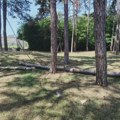 Opasnost u Borićima: Gole žice vise u kraljevačkom parku kojim svakodnevno prolaze građani?