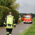 Dvojica Poljaka uhapšena u Nemačkoj zbog krađe više od 200 krava