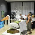 Verne replike životinja, biljaka i gljiva u Muzeju Vojvodine: Izložba „Priroda na dodir“