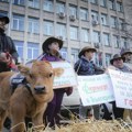 Protest bugarskih poljoprivrednika, pozvali ministra da podnese ostavku