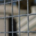 Ruski sud naložio isplatu 3,8 miliona rubalja odštete porodici mučenog u zatvoru