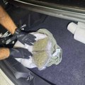 Carina: Na Horgošu sprečen šverc pola kilograma marihuane