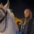Hit snimak sa svadbe u Surčinu: Harmonikaš se popeo na belog konja, pa zasvirao! Ovo se ne viđa ni na filmu