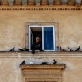 Uzela je ranjenog goluba u stan, a onda je nastao haos epskih razmera - agonija komšije dovela do ludila