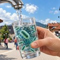 Građanima Rožaja upućeno HITNO UPOZORENJE: Ešerihija koli pronađena u vodi gradskog vodovoda