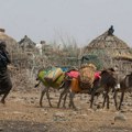 UN: U svijetu s glađu suočeno 735 miliona ljudi