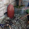 Engleska: Aktivna bomba kao ukras u bašti - bila im je „kao stari prijatelj"