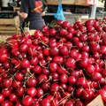 Prve trešnje na pijacama i do 1.500 dinara, a ni ovog omiljenog voća se nećemo najesti ove godine