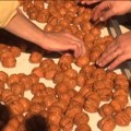 U Tornjošu jedna od najmodernijih plantaža oraha u jugoistočnoj Evropi