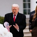 Трамп помиловао две ћурке да не буду убијене за Дан захвалности