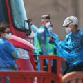 Epidomiolog Slavica Maris: Hantavirus nije novi kovid 19, kod nas se sporadično pojavi mišja groznica