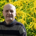 Najopasniji alergen je i potencijalni lek: Korov koji ovih dana kreće da cveta i zadaje muke milionima, krije neočekivanu moć…