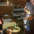 Hapšenje u Ulcinju: Srpkinja uhvaćena sa kokainom, vozači odbili testiranje