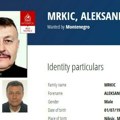 Policija češljala Mrkićev magacin: Pronađene mašine i tone rezanog duvana, sumnjaju na ilegalnu fabriku