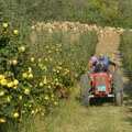 Naradene godine: Poppis poljoprivrednih gazdinstva u Crnoj Gori