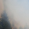Bukti požar između Budve i cetinja: Akcija gašenja nastaviće se danas