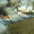 Evakuacija 10.000 ljudi zbog požara u Kaliforniji