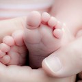 Lepe vesti subotom: U Novom Sadu rođeno 15 beba, među njima i blizanci