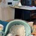 (Video) Plava kolevka za sina Bogdana: Olja Crnogorac objavila snimak iz doma nakon porođaja: "Maca ne zna ni ko je beba ni…