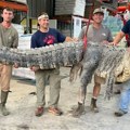 "Šta se još nalazi u toj vodi?!": Najveći ikada uhvaćeni aligator obara sve rekorde - to je 330 kilograma čistog straha (foto)…
