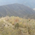 Borba sa stihijom se nastavlja: Helikopter pomaže u gašenju požara na Stolovima
