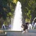 RHMZ upozorava na visoku temperaturu do kraja avgusta